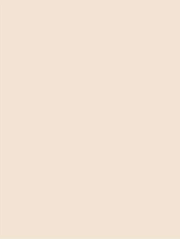 S141 Porcelain Beige