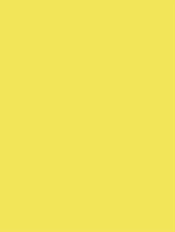 S166 Lemon Yellow Interior Film