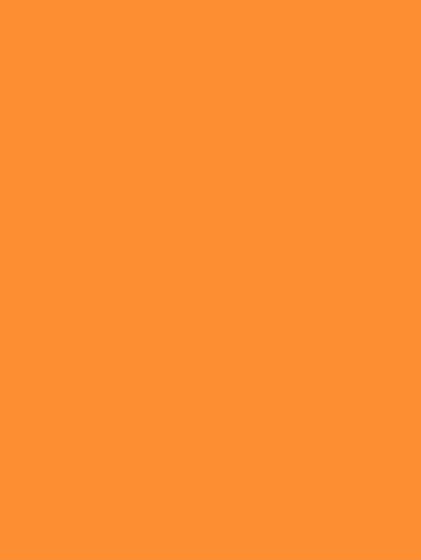 S169 Solid Orange Interior Film