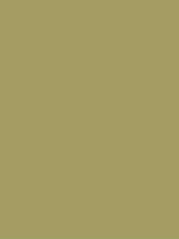 S200 Olive Green Interior Film