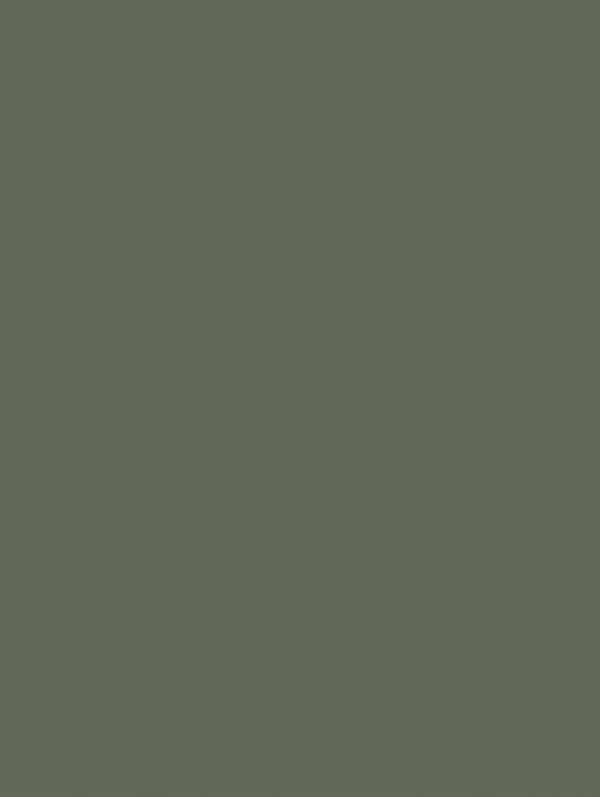 S201 Artichoke Green Film