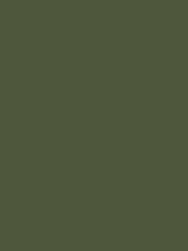 S202 Moss Green Interior Film