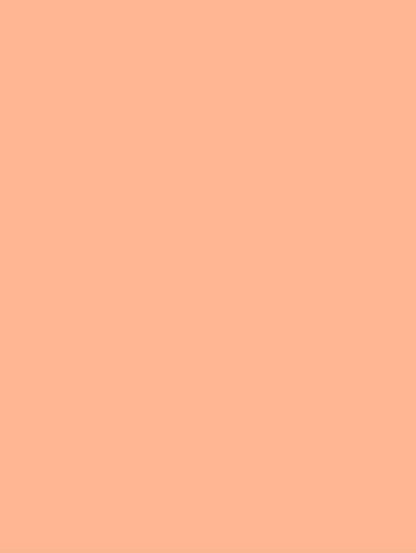 S213 Peach Cobbler Interior Film