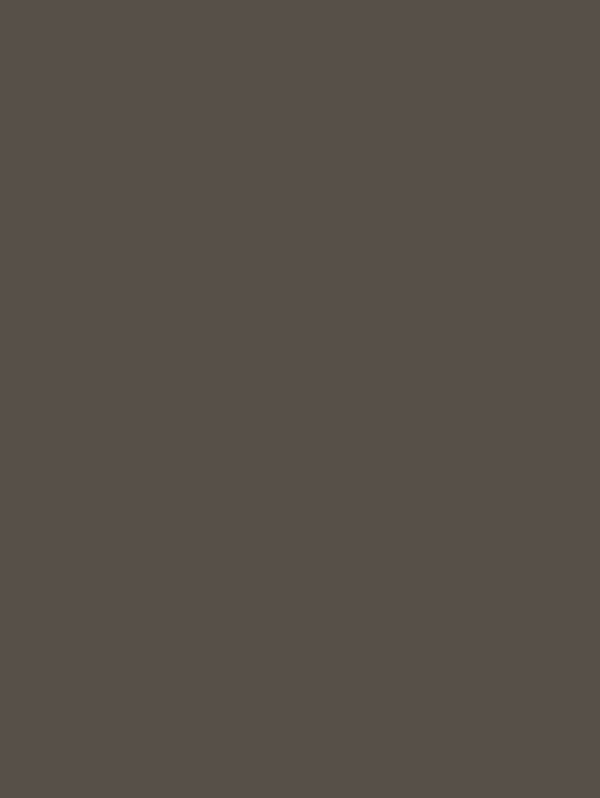SMT08 Matte Gray Interior Film