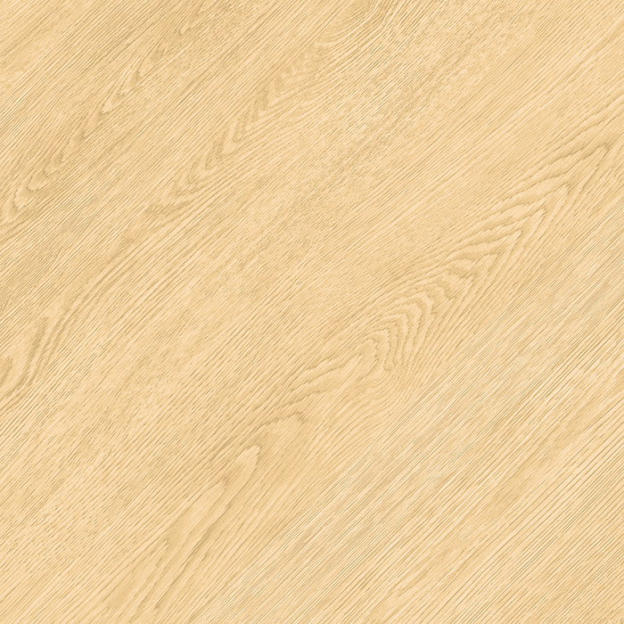 Cg Cf 5504 Ash