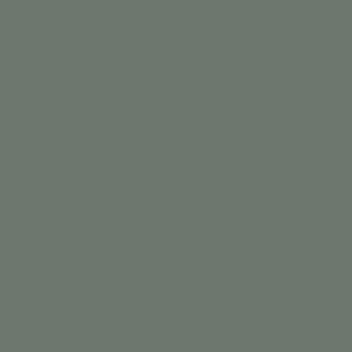 Ng Nf 2042 Basic Solid