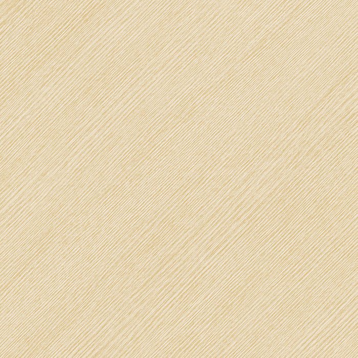 Ng 217 Elm