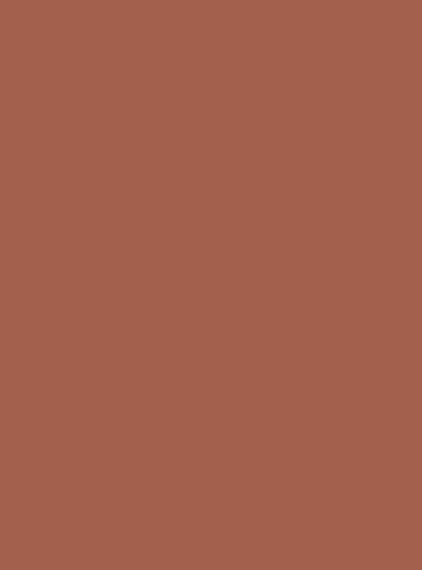 S251 Solid