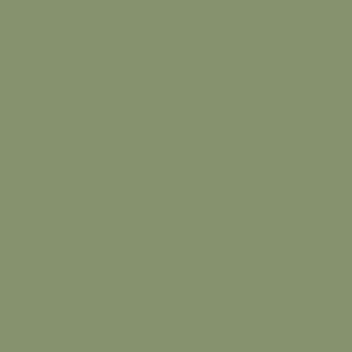 Sg 1186 Basic Solid