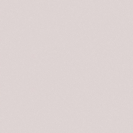 MSE21