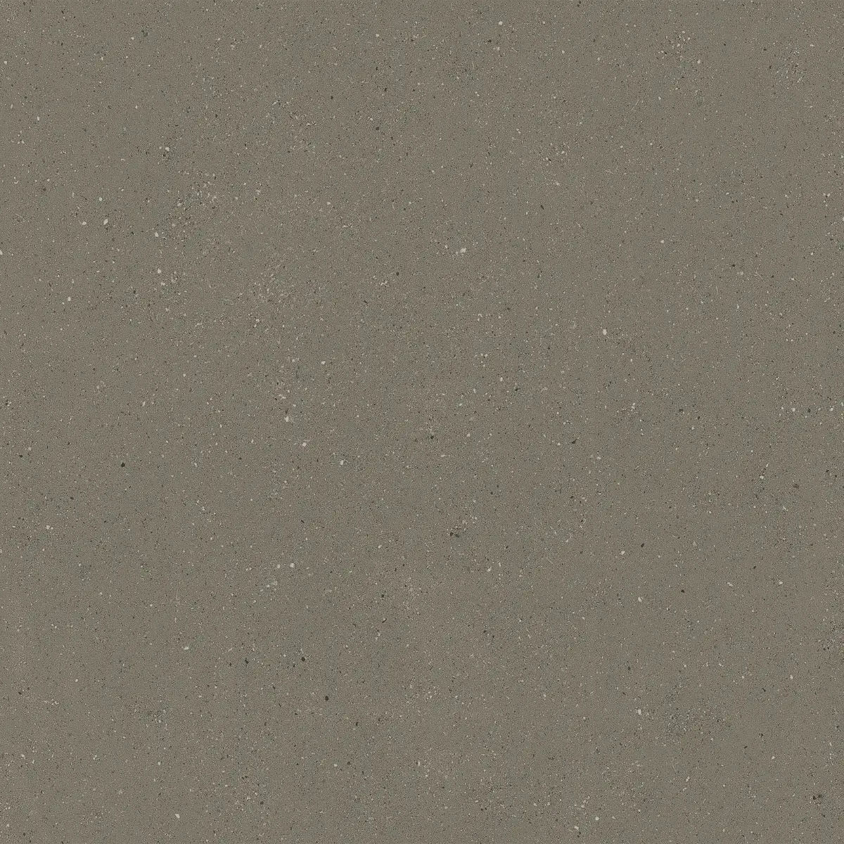 Kg Kf 4205
