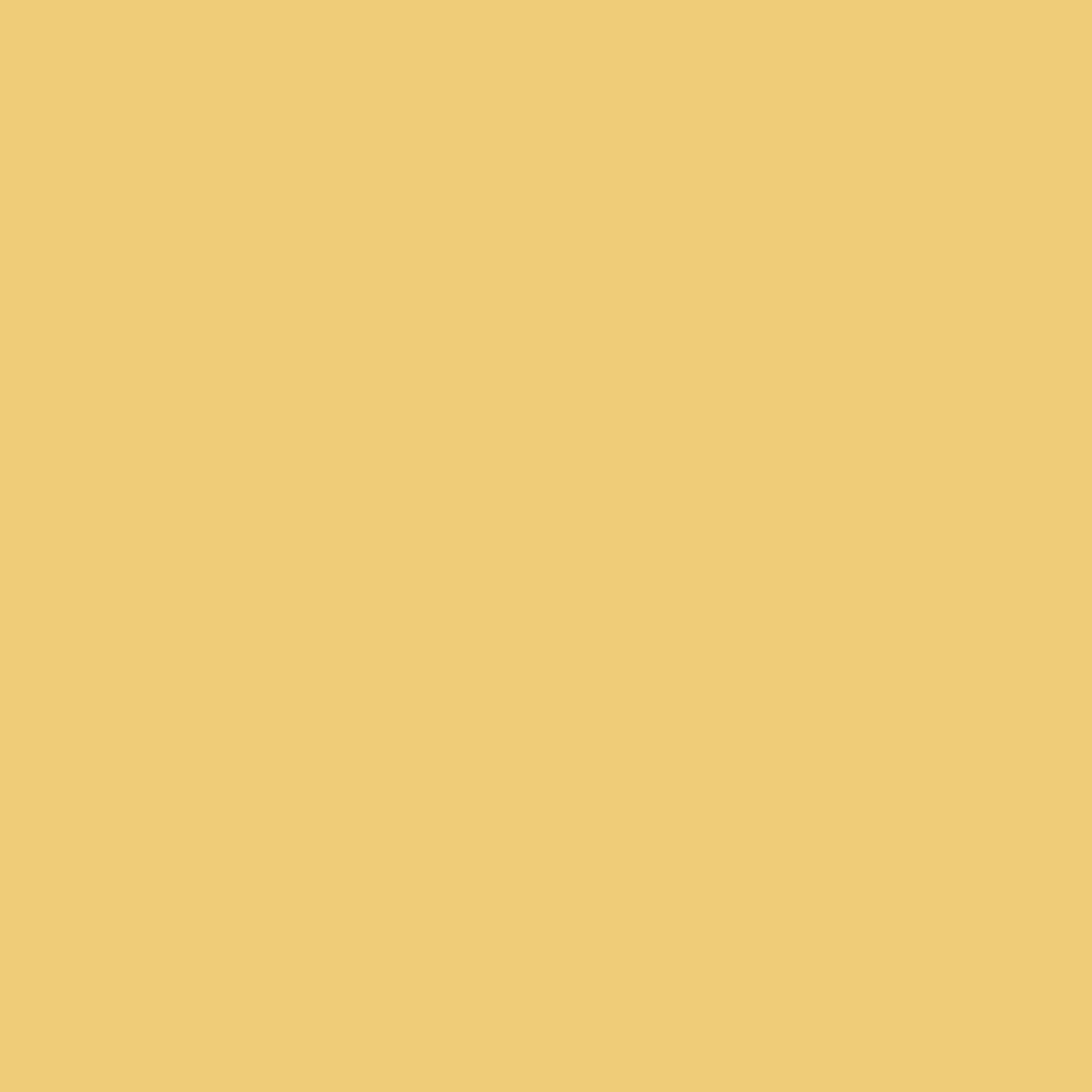 Ng Nf 2055