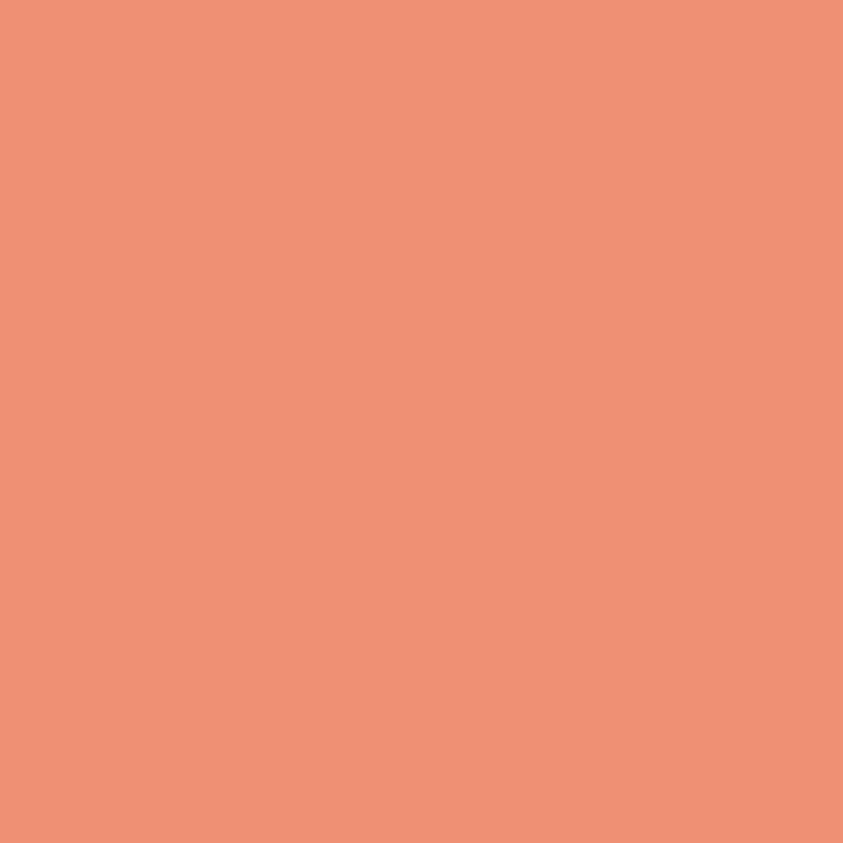 Ng Nf 2058