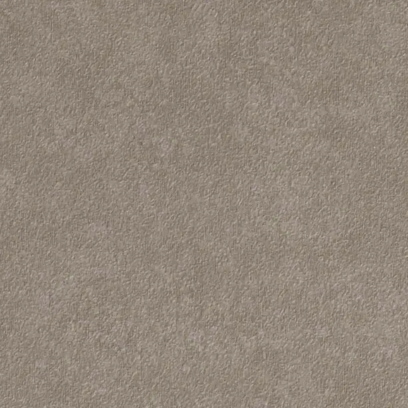 Gd 4918 Door Skin