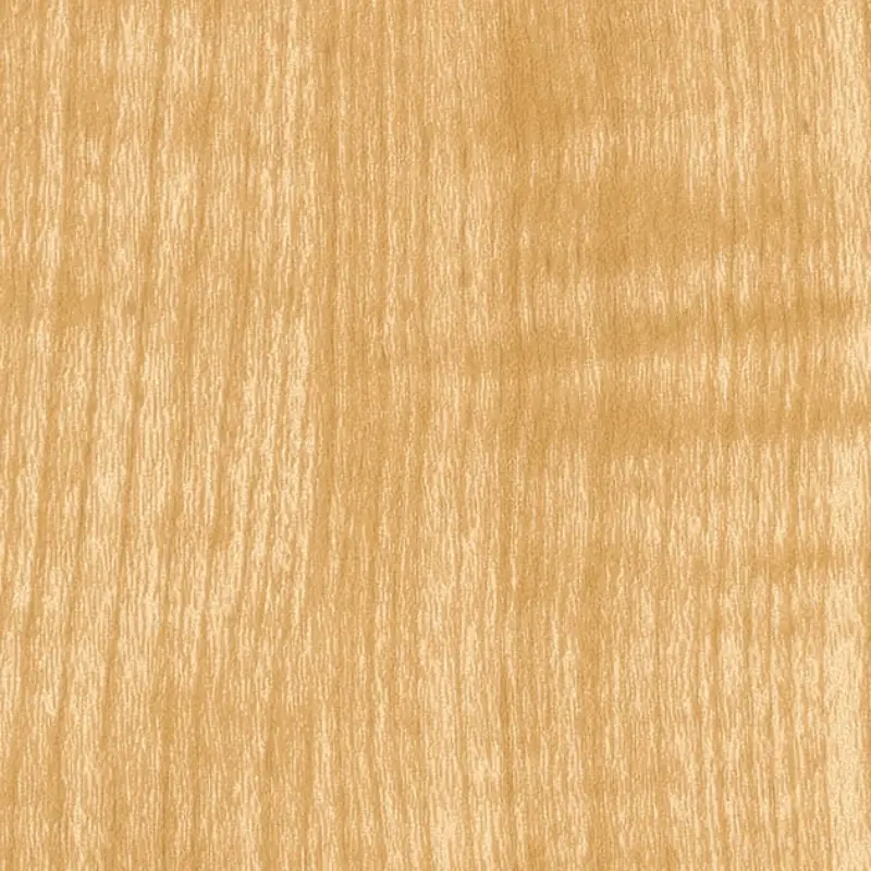 Rw 5041 Sycamore Sg