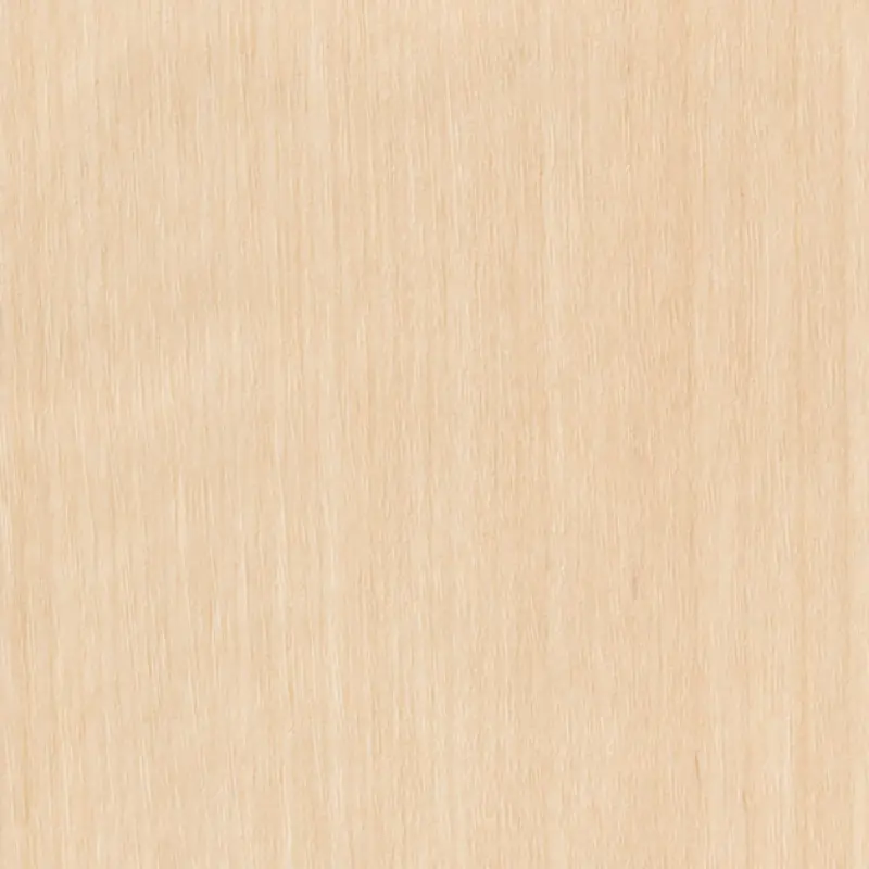 Tc 4204 Cherry Sg