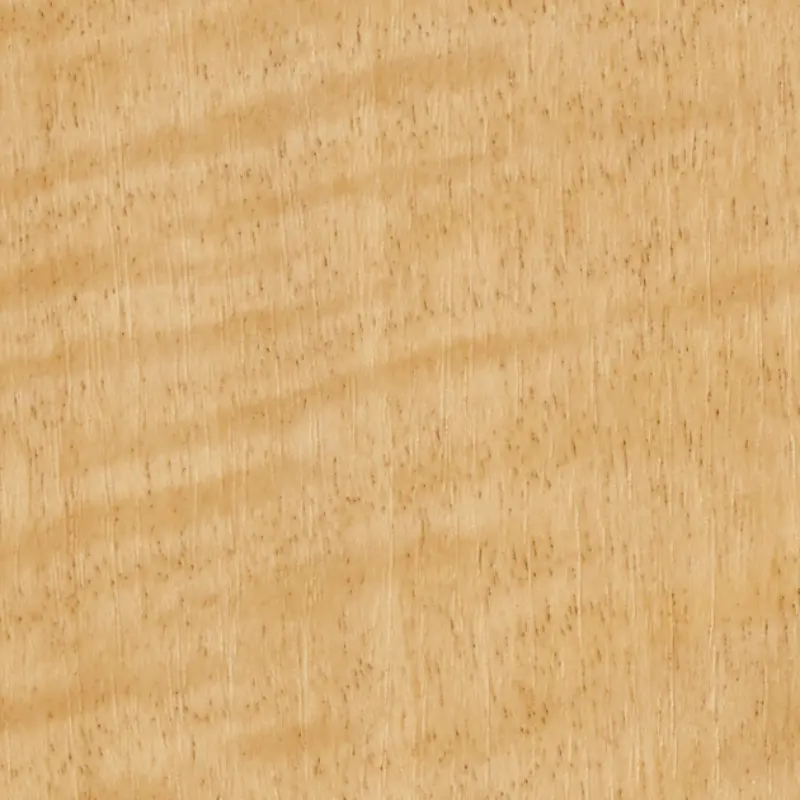 Tc 4205 Sycamore Sg