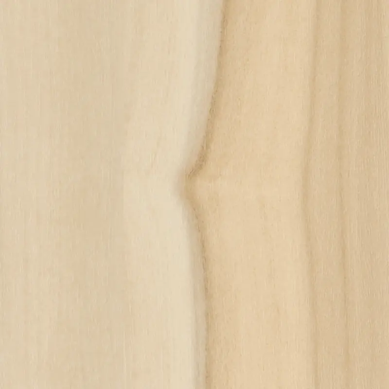 Tc 5067 Apple Sg