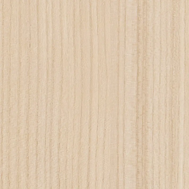Tc 5081 Elm Sg